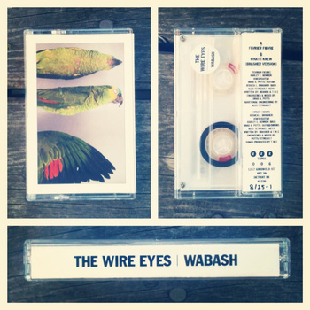 The Wire Eyes 